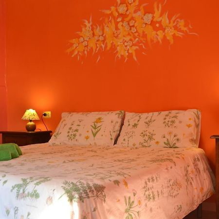 Agriturismo Nizzi Villa Assisi Dış mekan fotoğraf