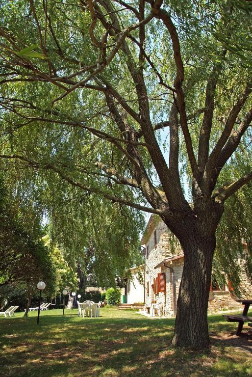 Agriturismo Nizzi Villa Assisi Dış mekan fotoğraf